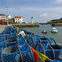 le charmant port de SAUZON